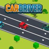 Car Driver
