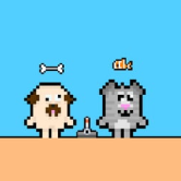 Dog and Cat