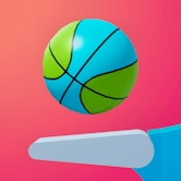 Flipper Dunk 3D