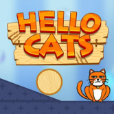 Hello Cats