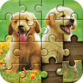 Jigsaw Puzzle
